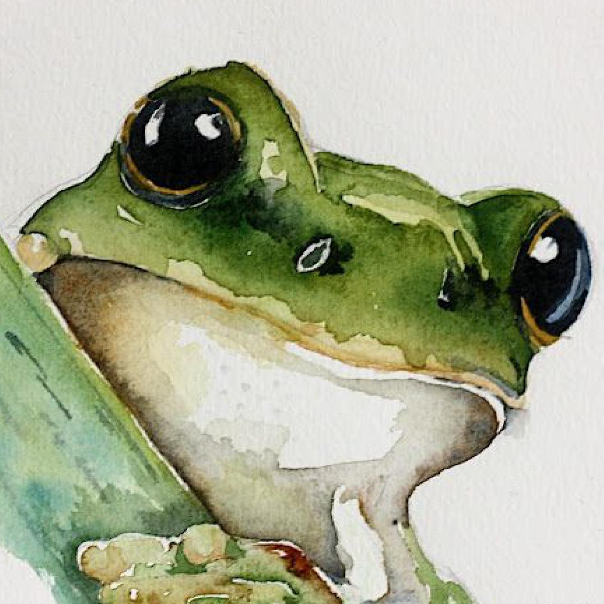 Unwynd Water Colors - 25 colors x 25 ml